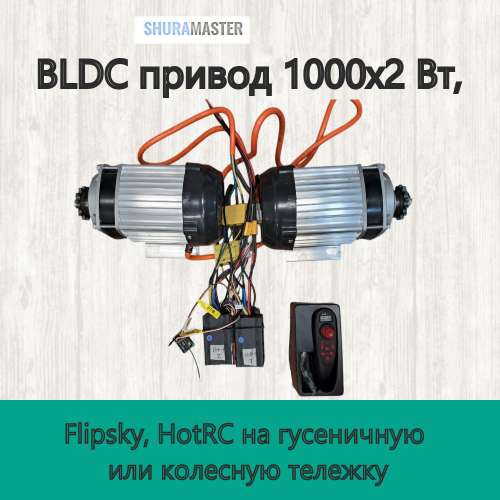 BLDC привод 36-60 В 1000х2 Вт, Flipsky, HotRC на гусеничную или колесную тележку фото
