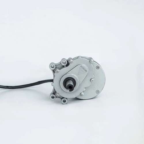 Двигатели постоянного тока коллекторные 250-350 Вт, с редуктором, MY1016Z фото