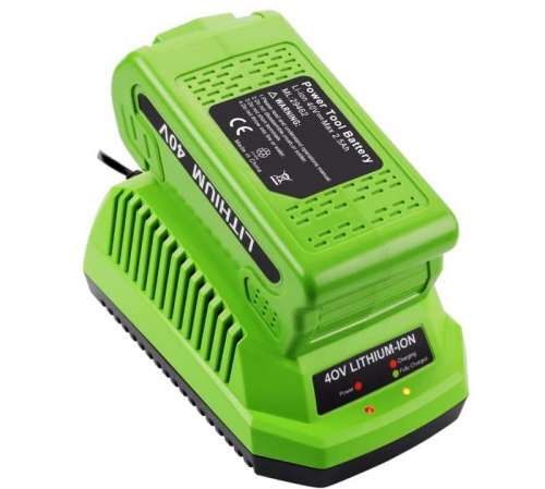 Зарядное устройство для аккумулятора Greenworks G40B5 фото