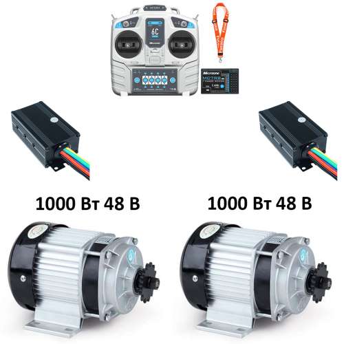 1000 Вт х 2 шт., Microzone фото